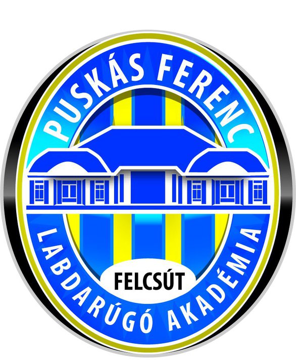 Puskás Ferenc Labdarúgó Akadémia (PFLA)